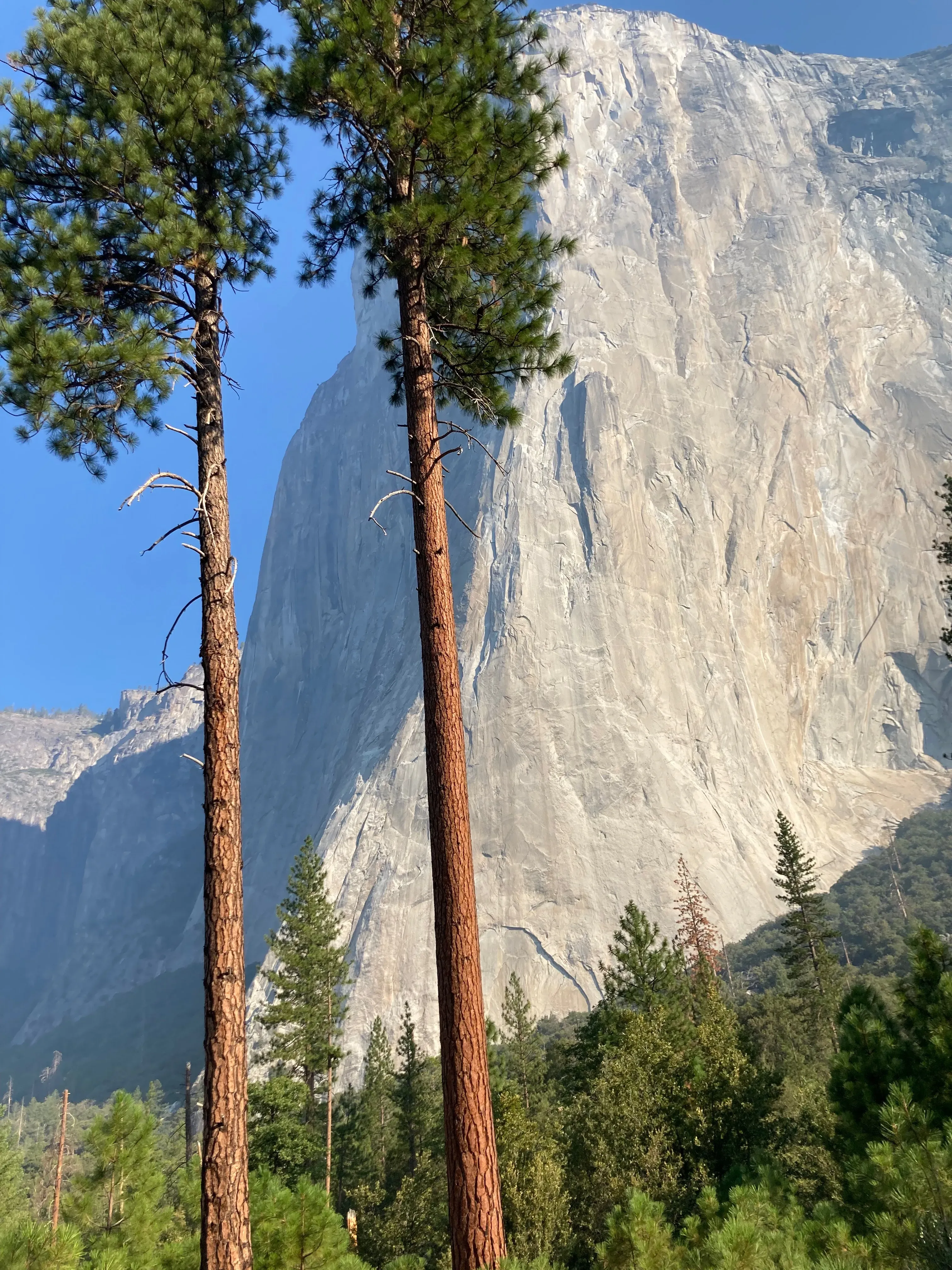 el cap